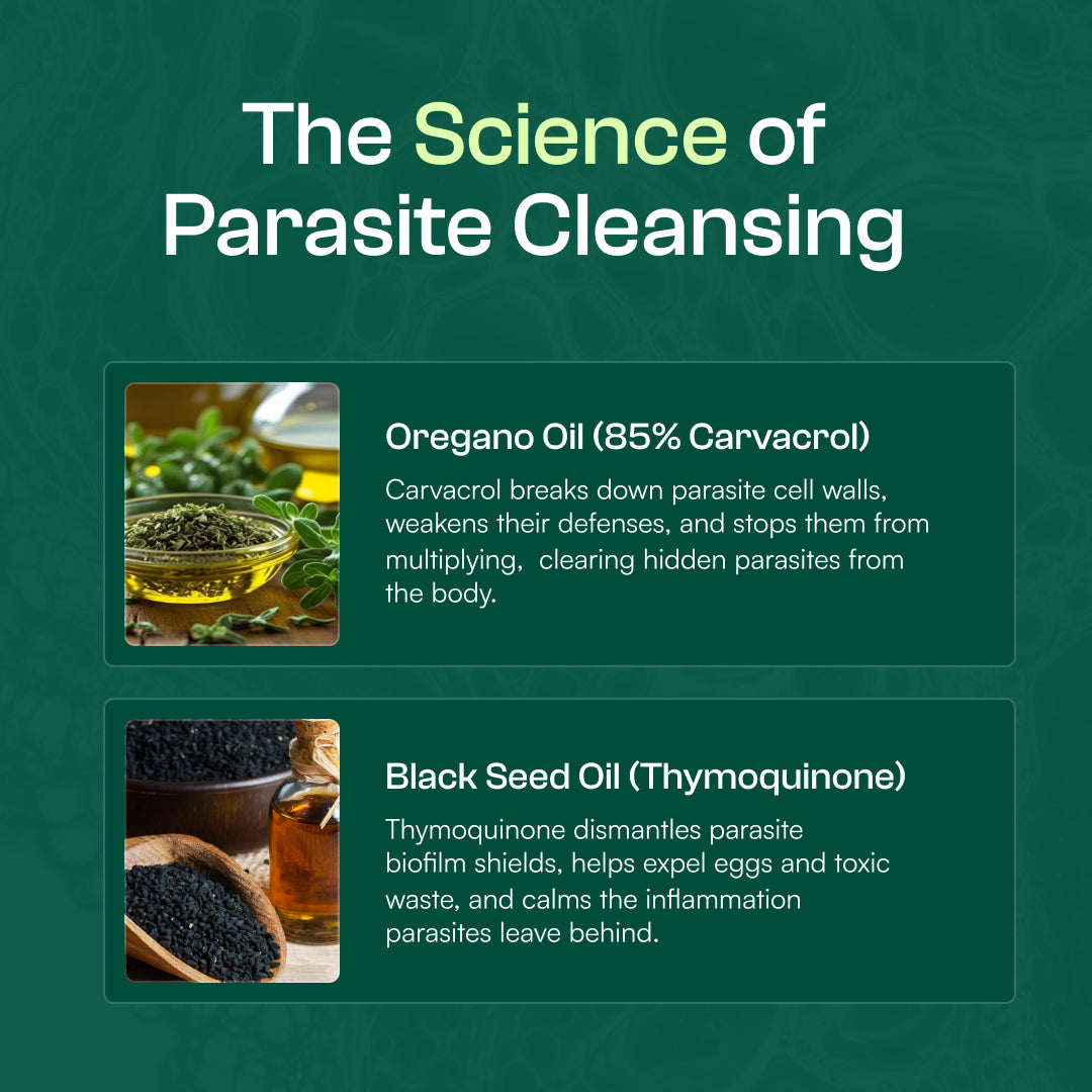 Resilia™ Oil Of Oregano Softgels