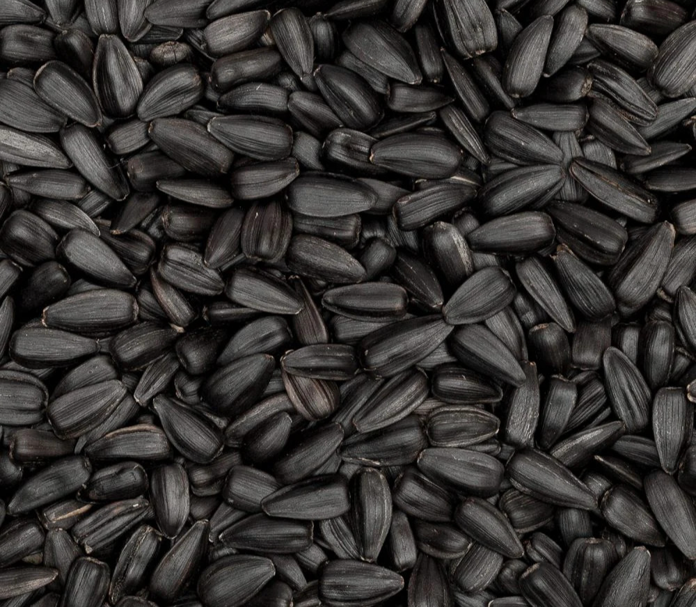 Black Seed Oil macro
