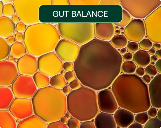 Oregano Oil