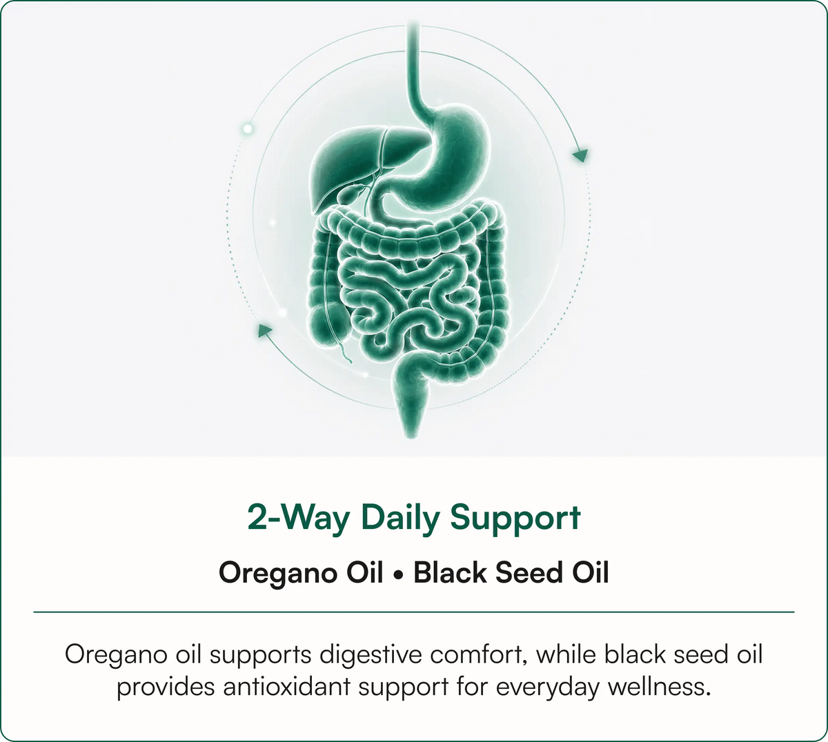 Less Digestive Discomfort. More Focus On Your Goals.