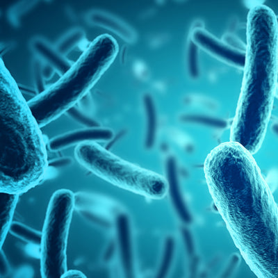 Probiotics