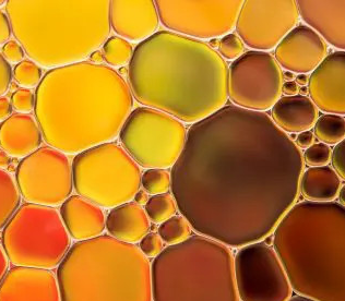 Oil of Oregano macro