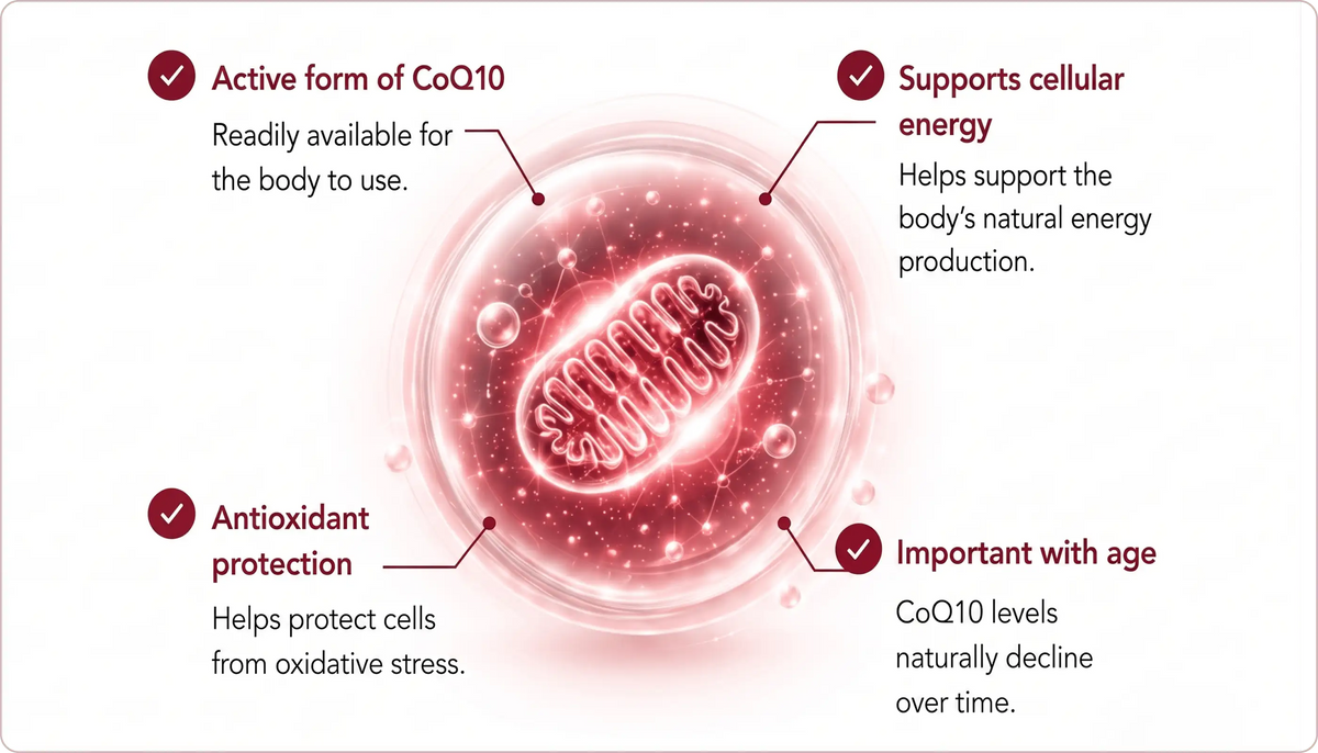 Why Ubiquinol?