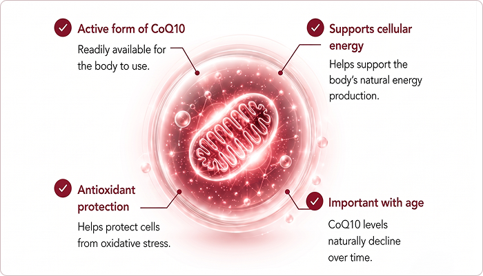 Why Ubiquinol?