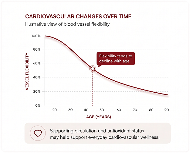 Why Can Heart Health Become Harder To Maintain With Age?