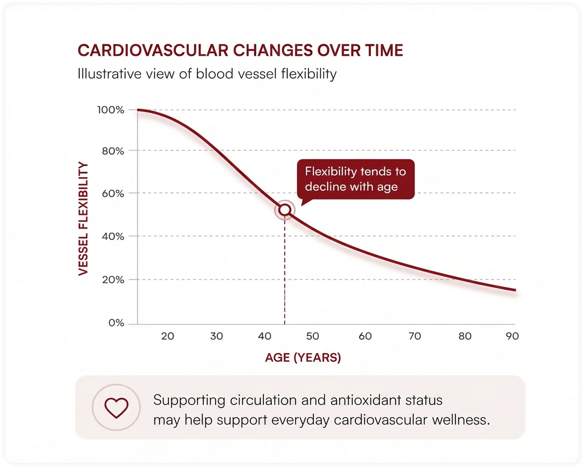 Why Can Heart Health Become Harder To Maintain With Age?