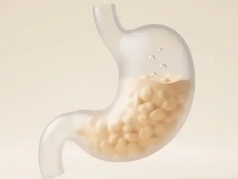 Looping render: bubbles of gas building up in the stomach