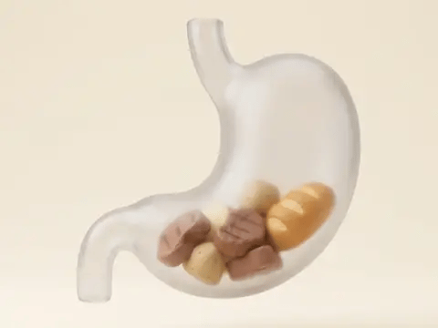 Looping render: a heavy dinner sitting in the stomach