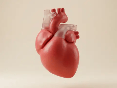 Looping render: a heart glowing warmer as its cells make energy