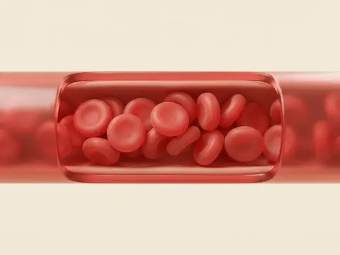 Looping render: a blood vessel widening so blood cells flow more freely