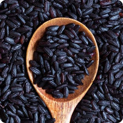 Black Rice Extract
