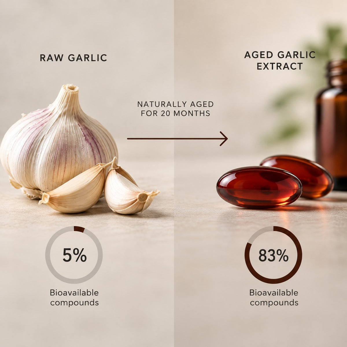 Raw garlic at 5% bioavailable compounds versus aged garlic extract at 83%