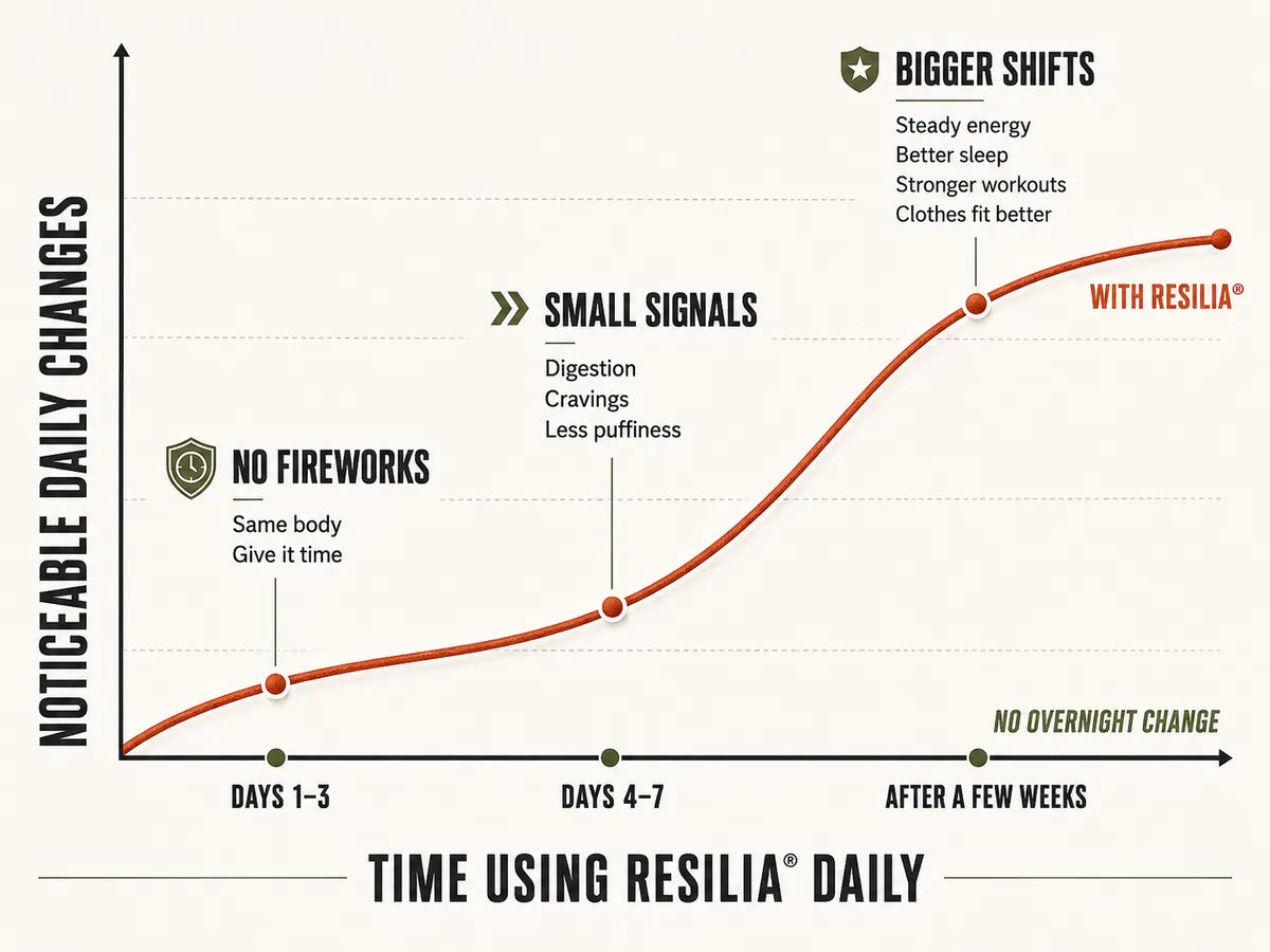 Resilia daily progress timeline: no fireworks, small signals, then bigger shifts