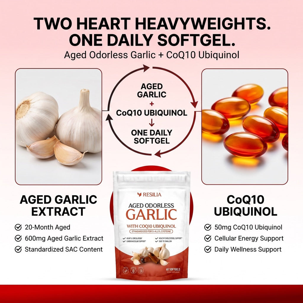 Aged garlic plus CoQ10 Ubiquinol in one routine
